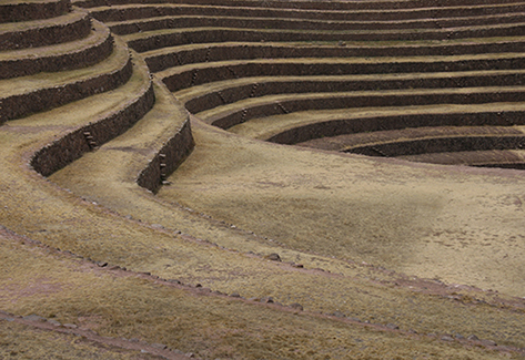 Terraces, Moray, Peru